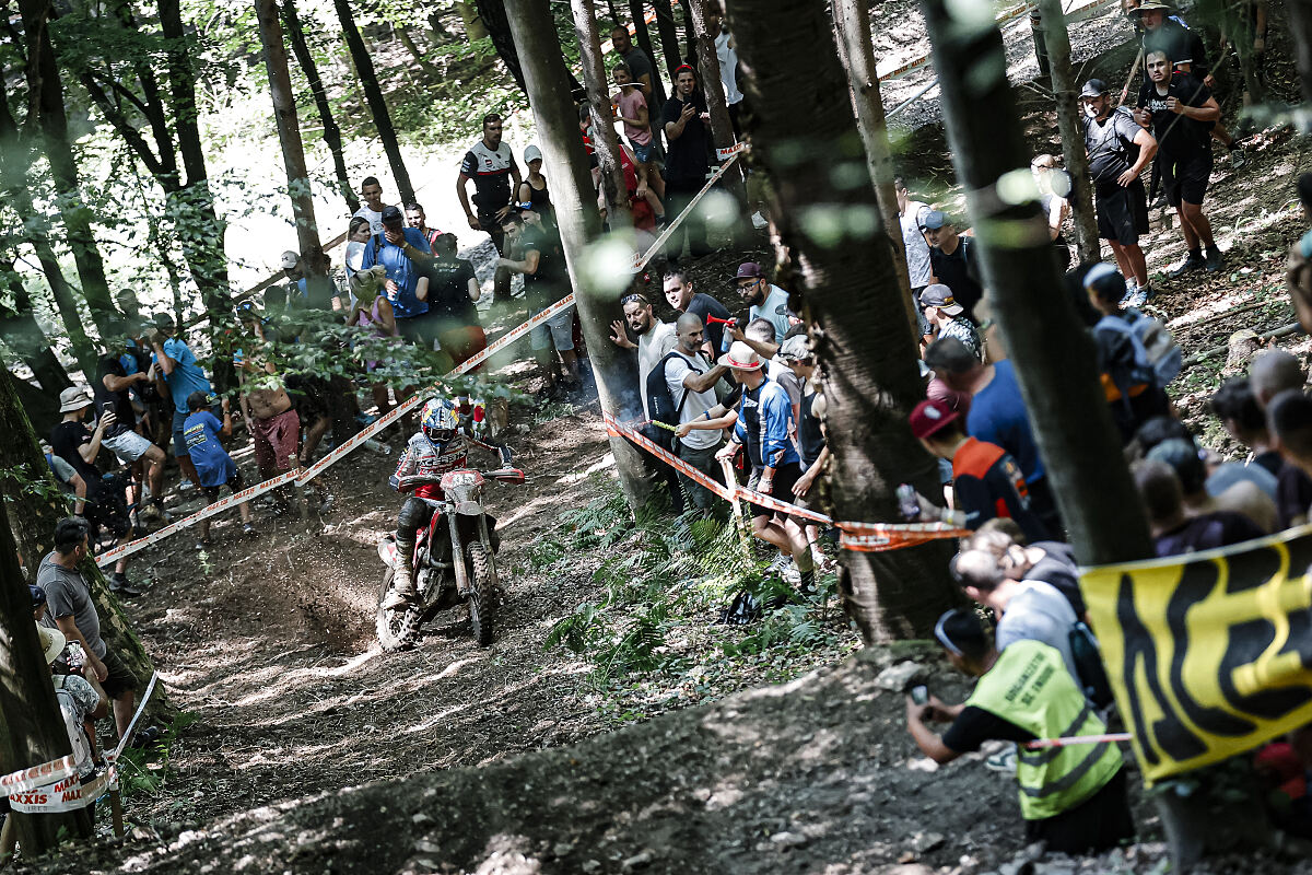 Andrea Verona - GASGAS Factory Racing - EC 350F - EnduroGP of Slovakia